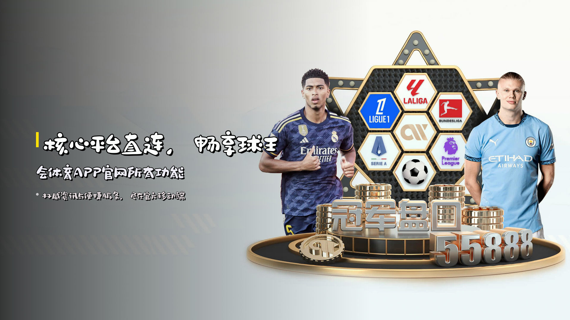 核心平台直连，畅享球王会体育APP官网所有功能